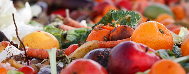 food waste prevention vs recovery