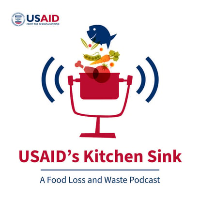 Kitchen Sink podcast