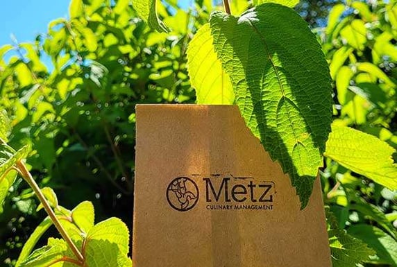 Metz_Sustainability