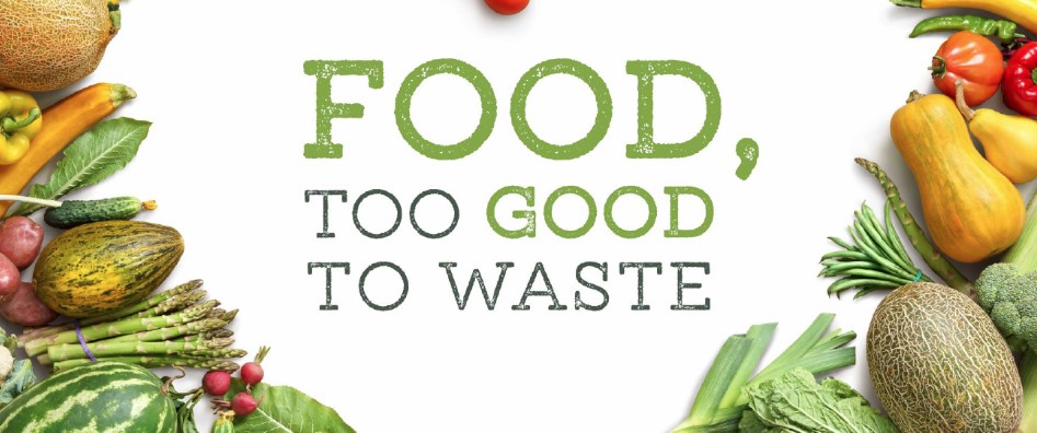 Stanford University Food Waste Prevention Playbook offers best ...