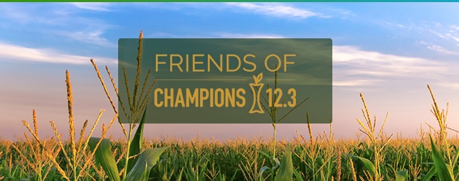 blog-friends-champions.jpg