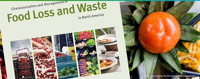 Ways to Help Solve North America's Food Loss & Waste Problem